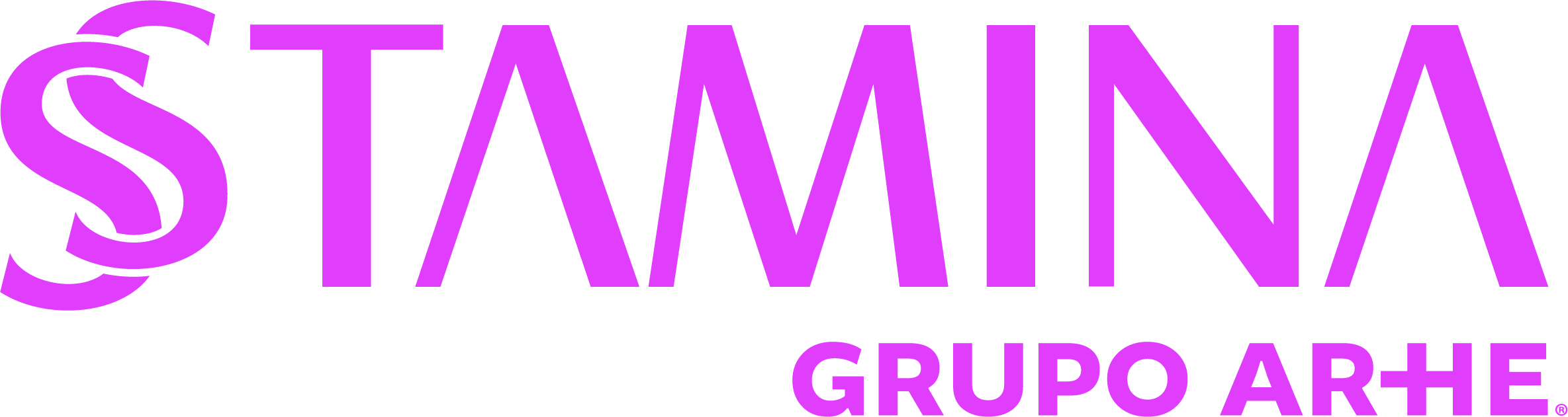 Logo Stamina_Grupo_ARHE pink